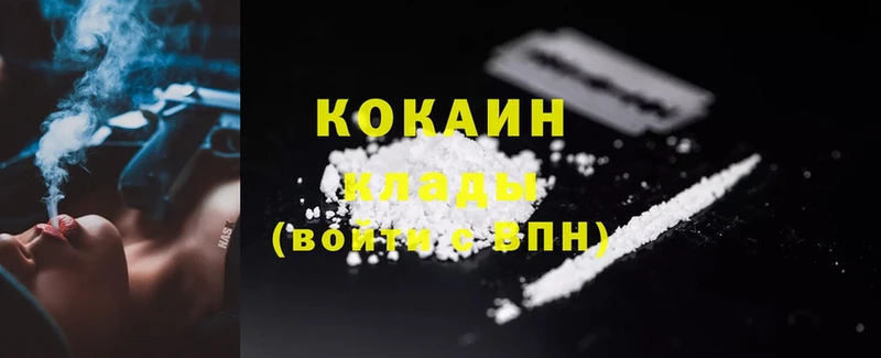 как найти закладки  Пудож  Cocaine FishScale 