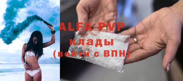 шишки Аркадак