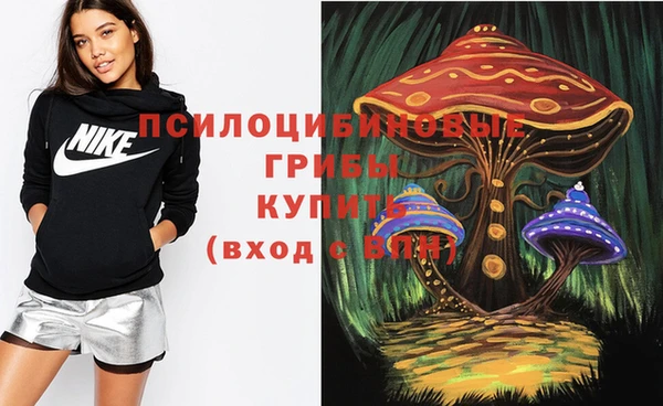 винт Осинники