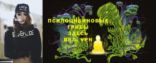 меф Пересвет